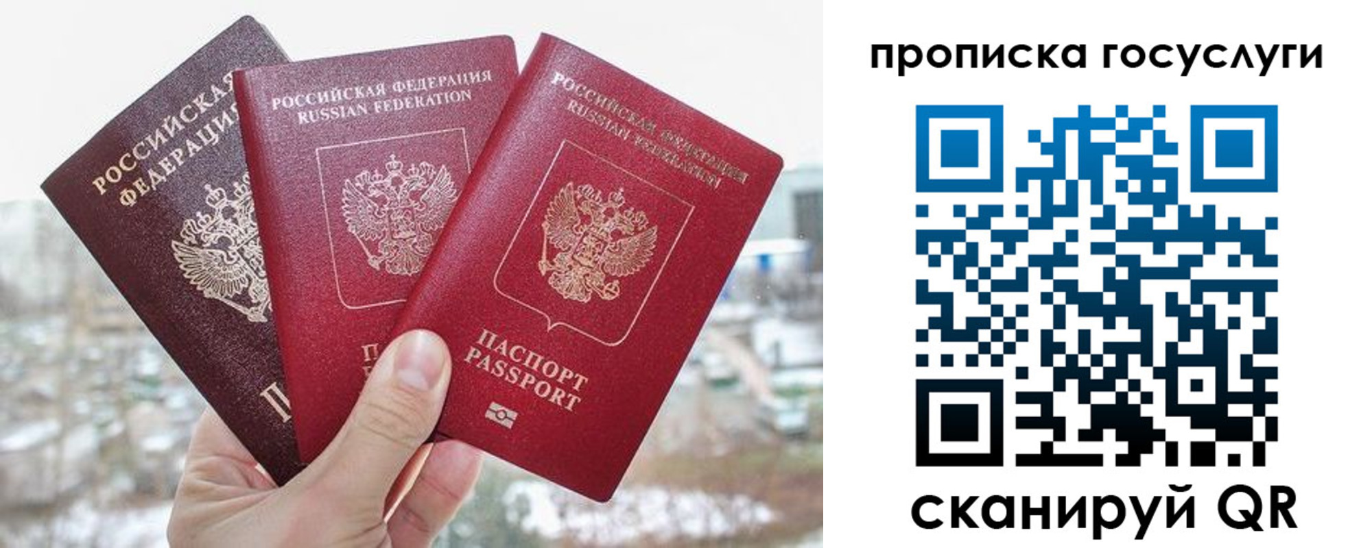 прописка законно в Гвардейске